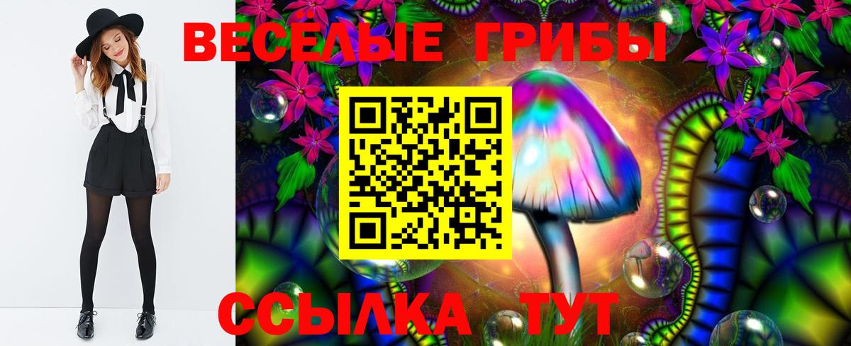 Псилоцибиновые грибы Psilocybe Дедовск