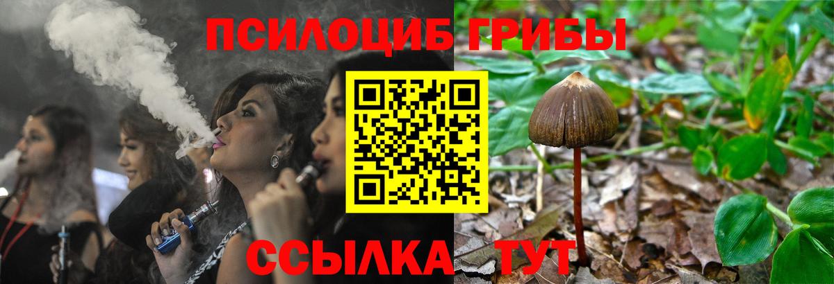 закладка  Вход с VPN  Дедовск  Псилоцибиновые грибы MAGIC MUSHROOMS 